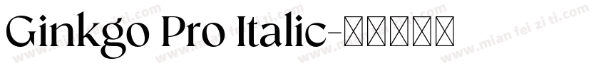 Ginkgo Pro Italic字体转换
